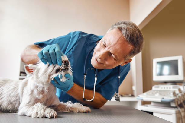 Best Emergency Tooth Extraction in Springboro, OH